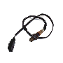 Oxygen Sensor (Rear)